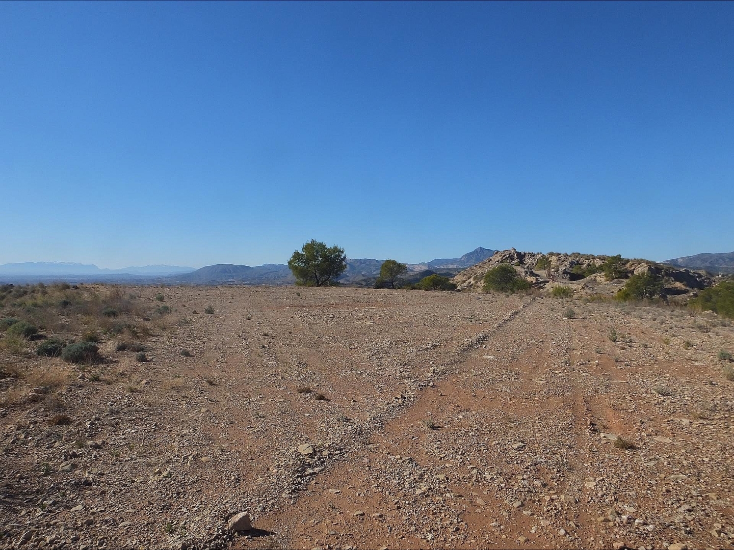 Land in Abanilla