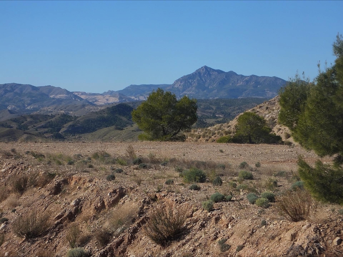 Land in Abanilla