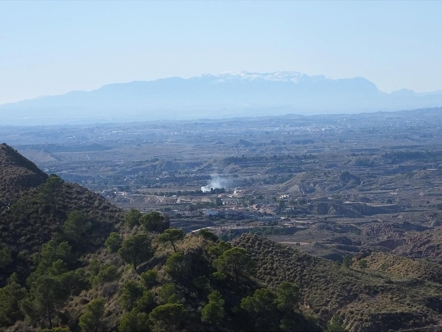 Land in Abanilla