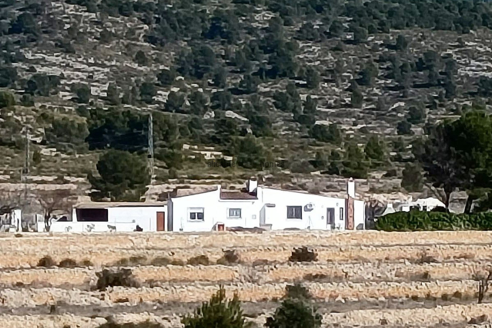 3 Bedroom 1 Bathroom Country house in Monóvar
