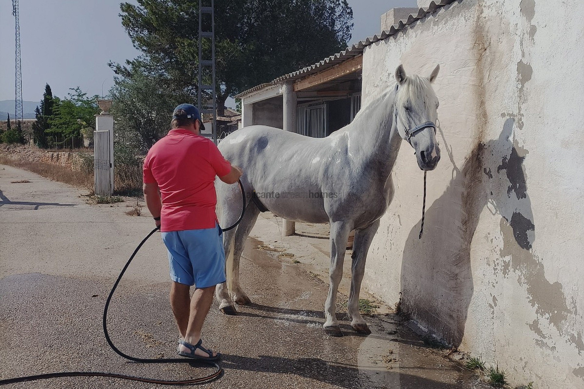 Sold - 3 Bedroom 1 Bathroom Country house in Monóvar -  - Alicante