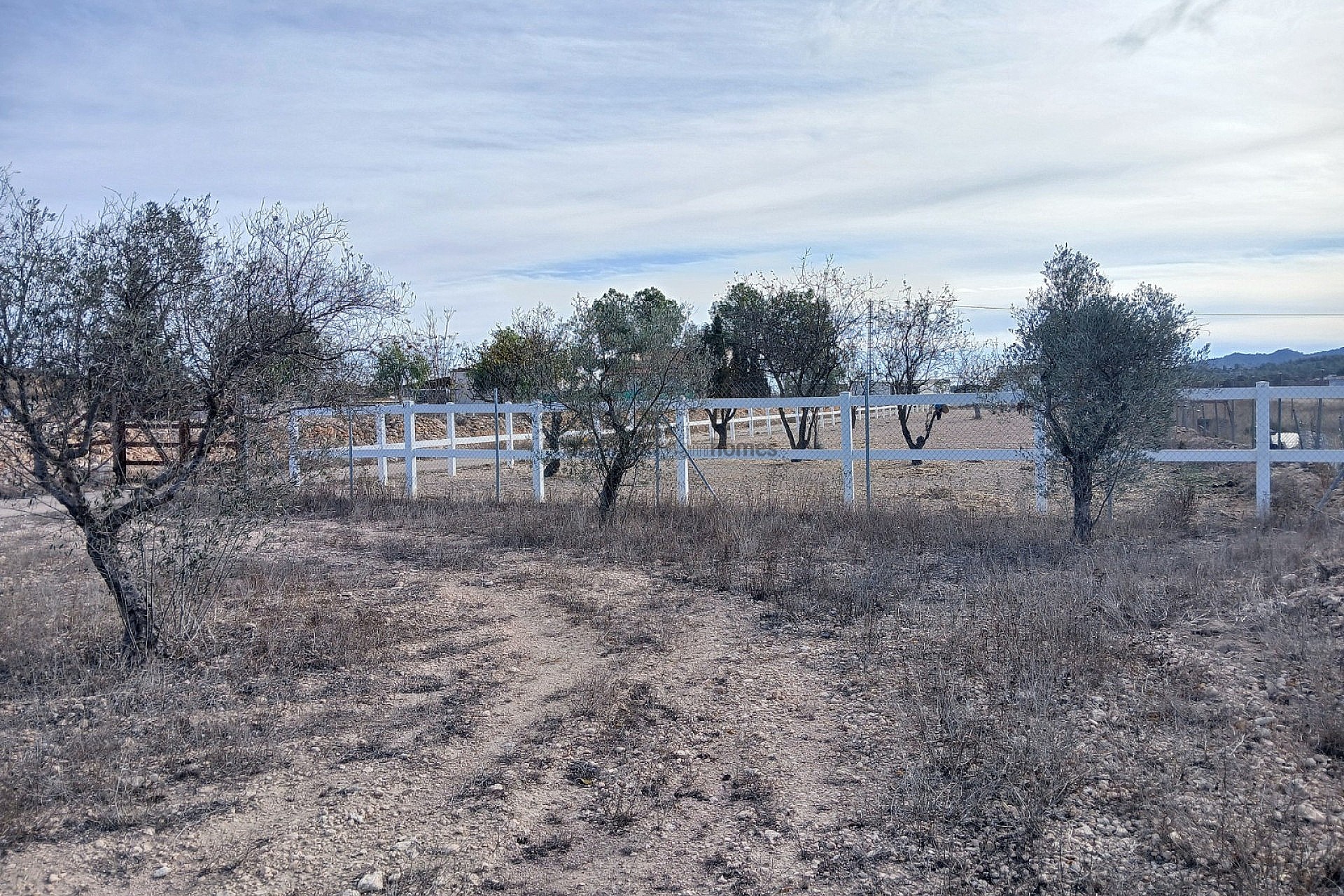 Sold - 3 Bedroom 1 Bathroom Country house in Monóvar -  - Alicante