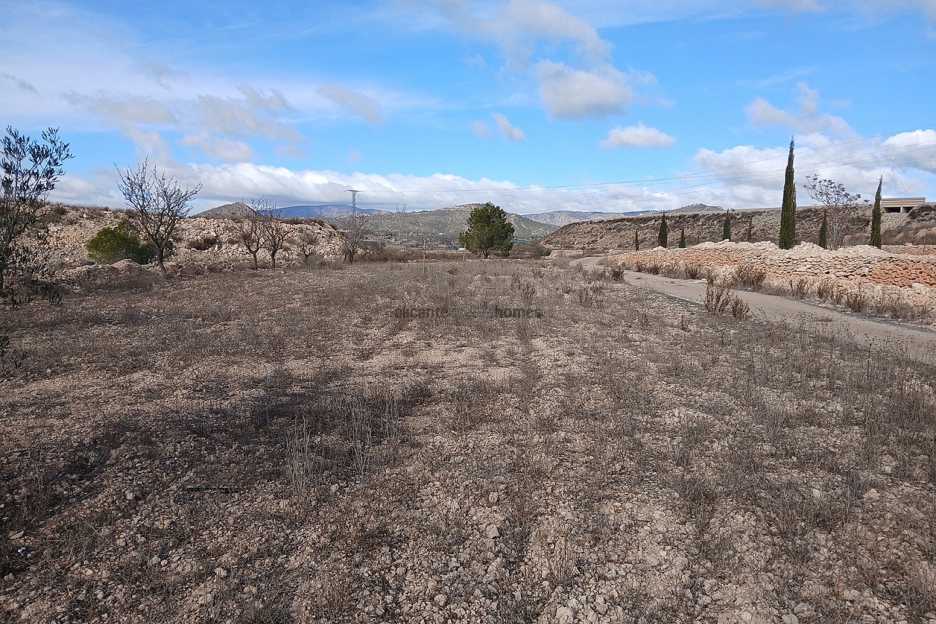 Sold - 3 Bedroom 1 Bathroom Country house in Monóvar -  - Alicante