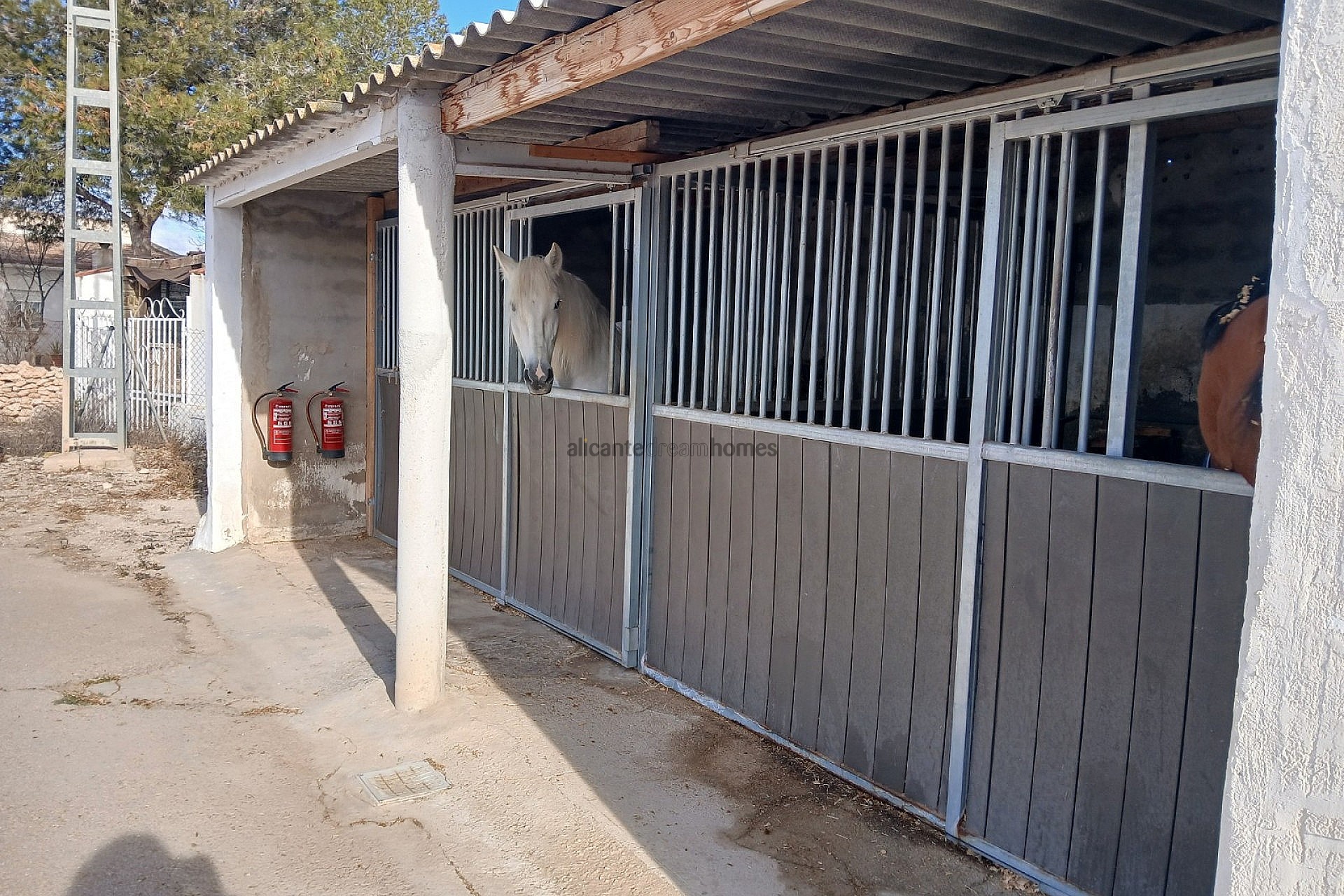 Sold - 3 Bedroom 1 Bathroom Country house in Monóvar -  - Alicante