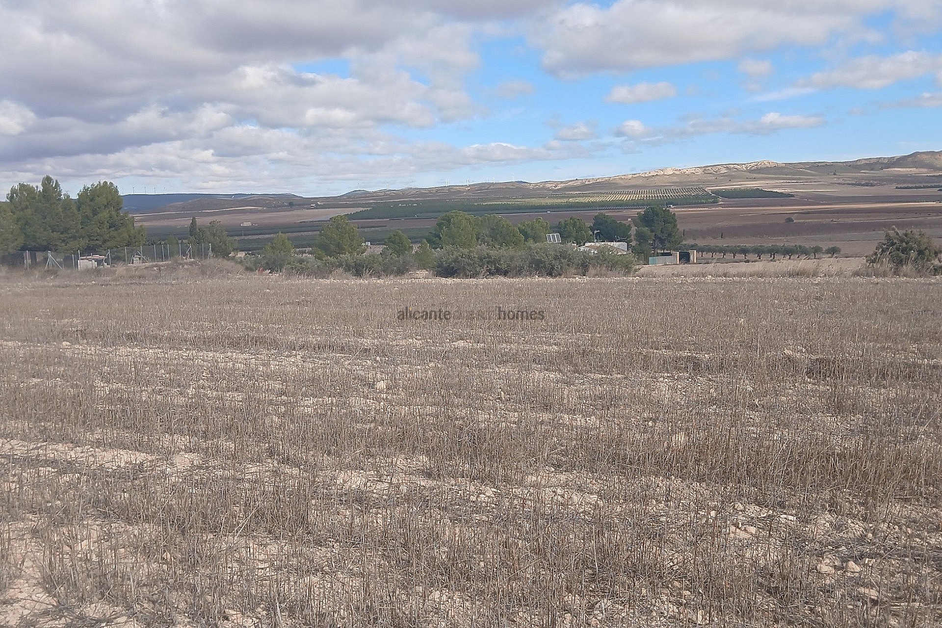 Resale - Land in Yecla -  - Murcia