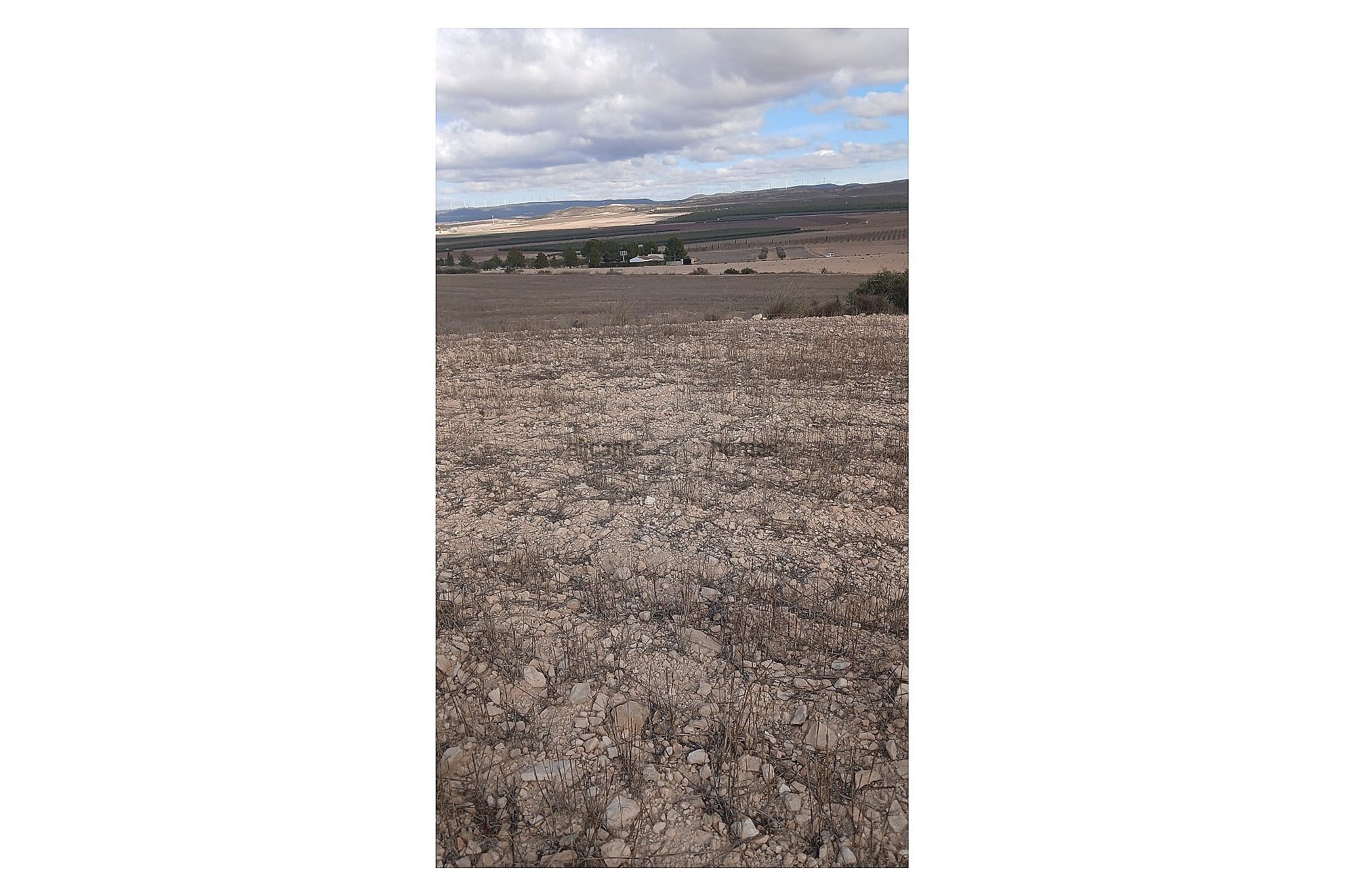 Resale - Land in Yecla -  - Murcia