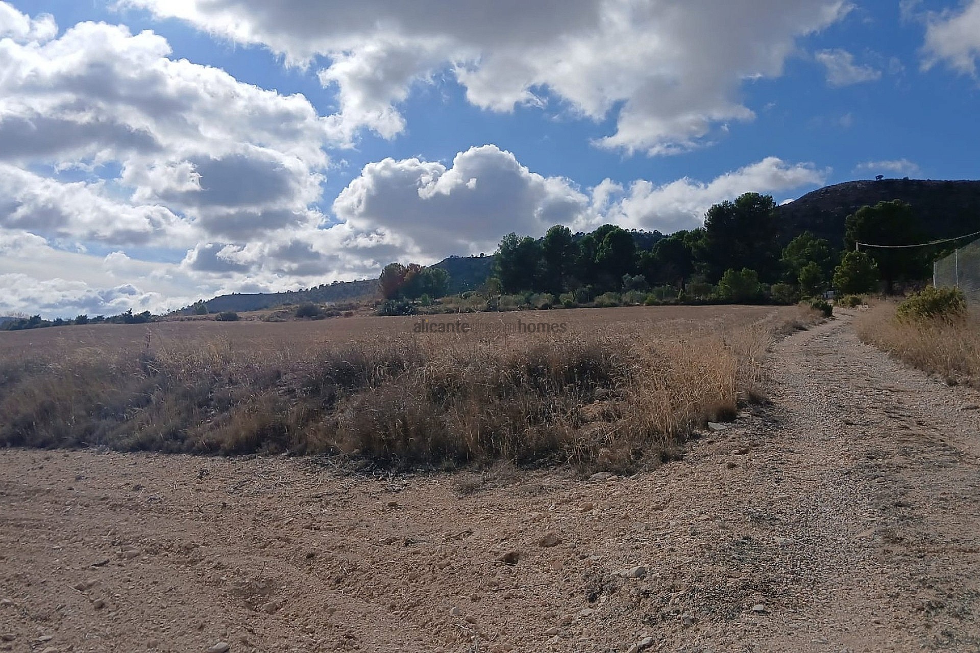 Resale - Land in Yecla -  - Murcia
