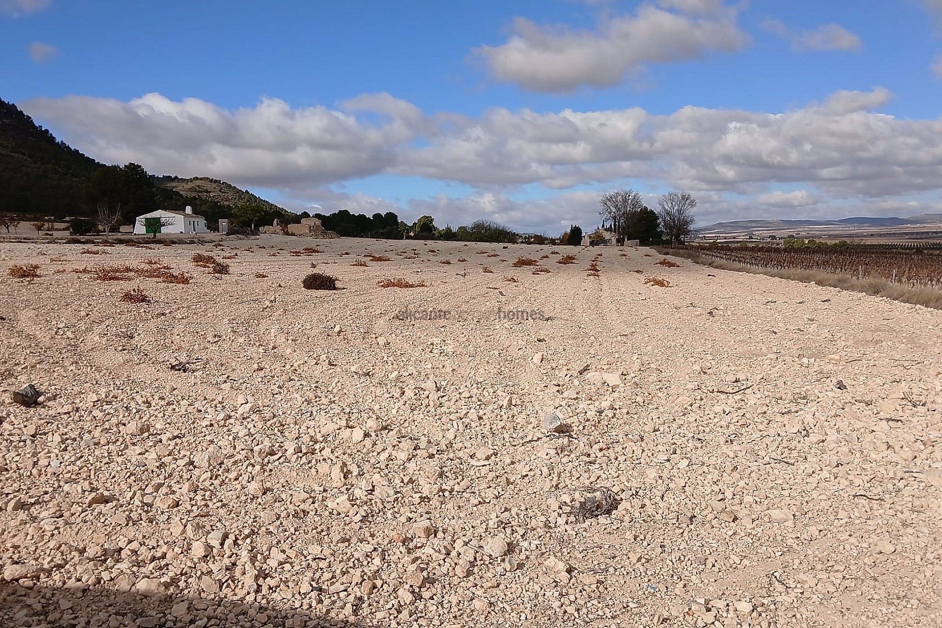 Resale - Land in Yecla -  - Murcia