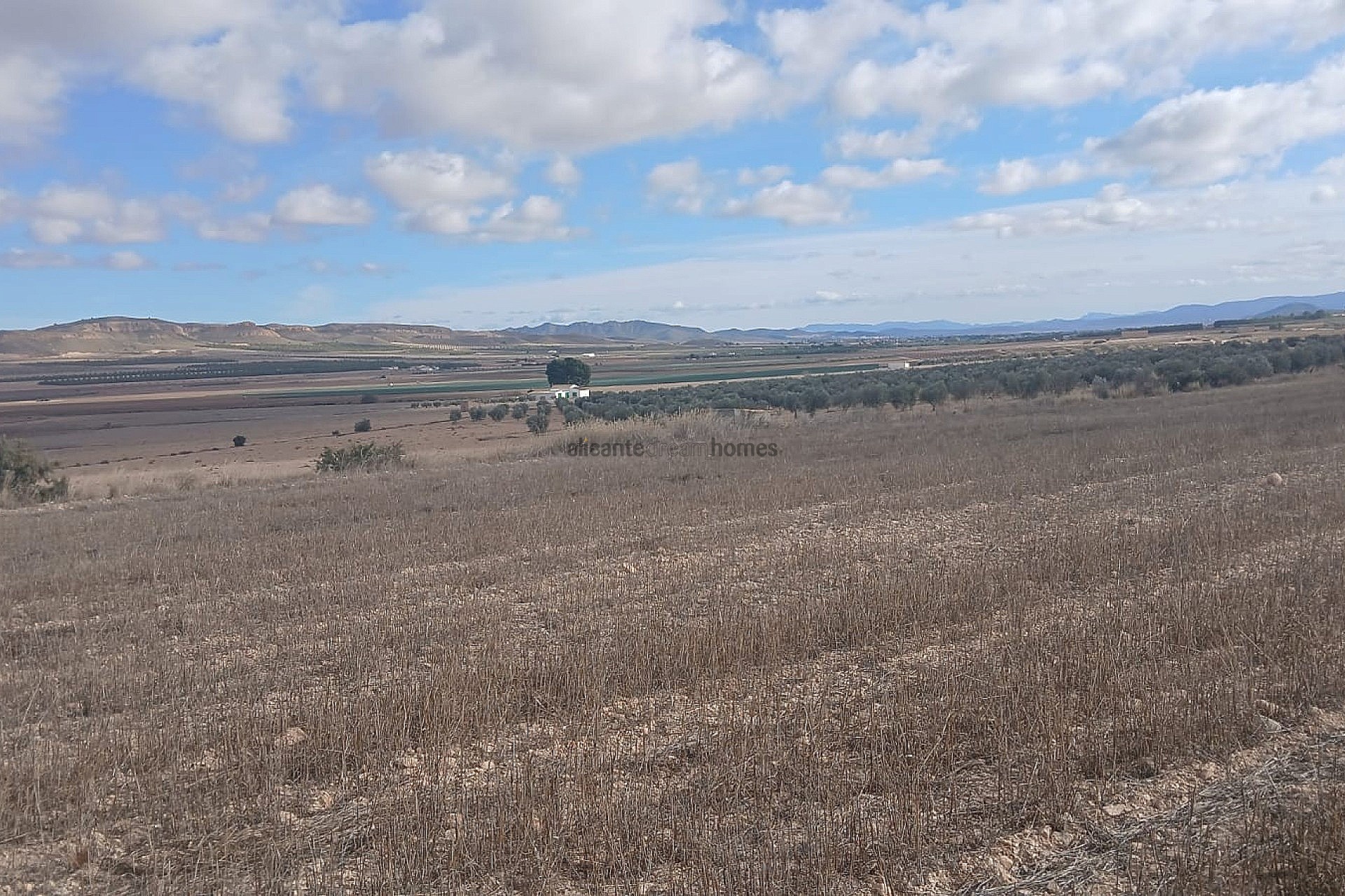 Resale - Land in Yecla -  - Murcia