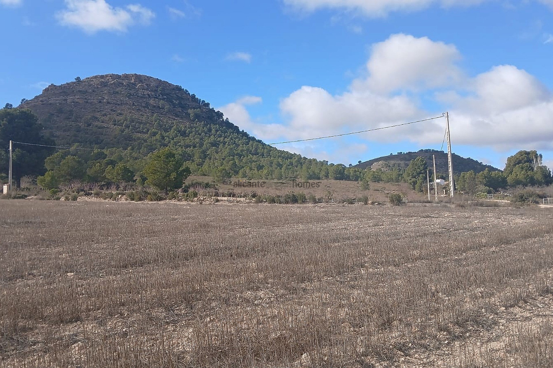 Resale - Land in Yecla -  - Murcia