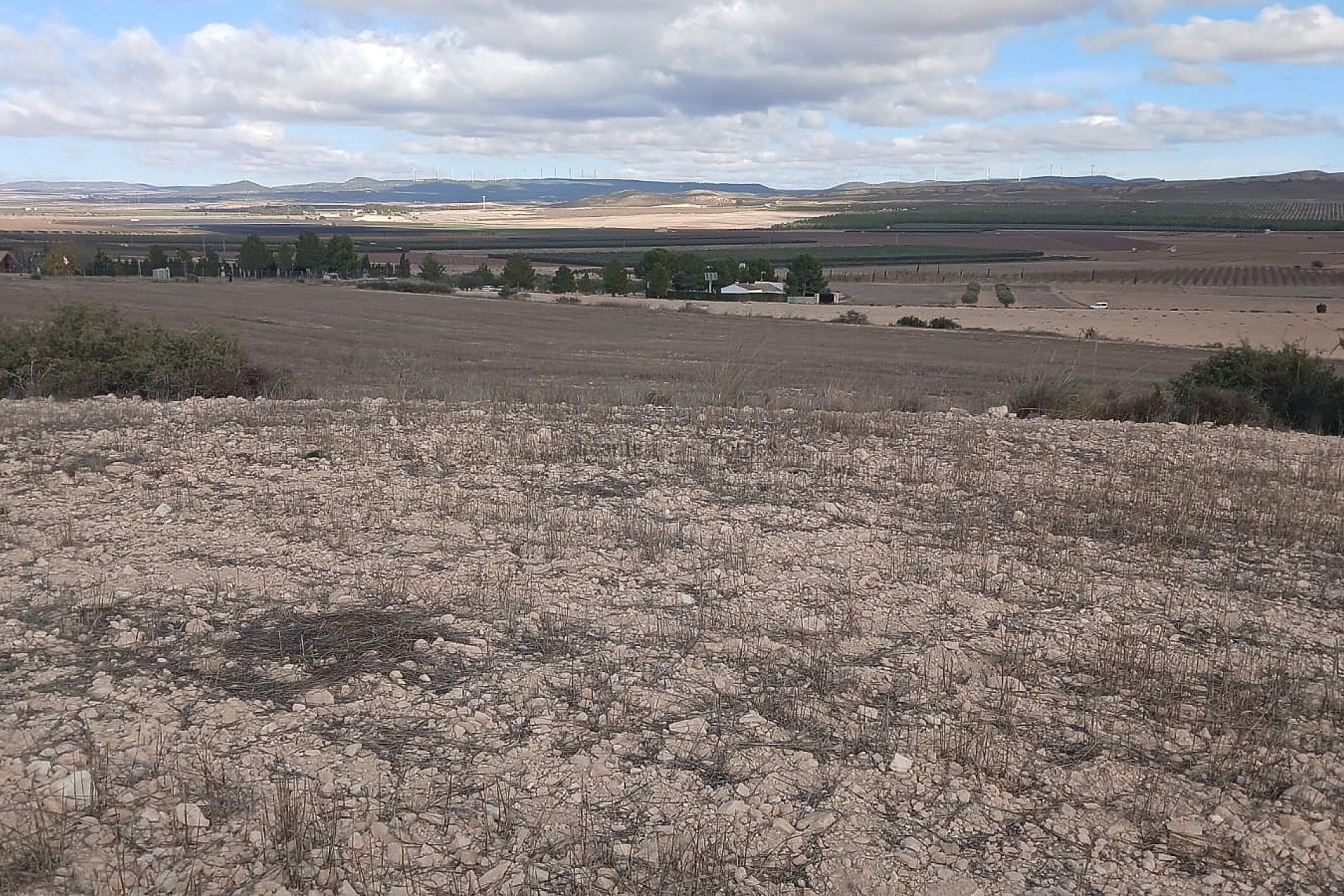 Resale - Land in Yecla -  - Murcia