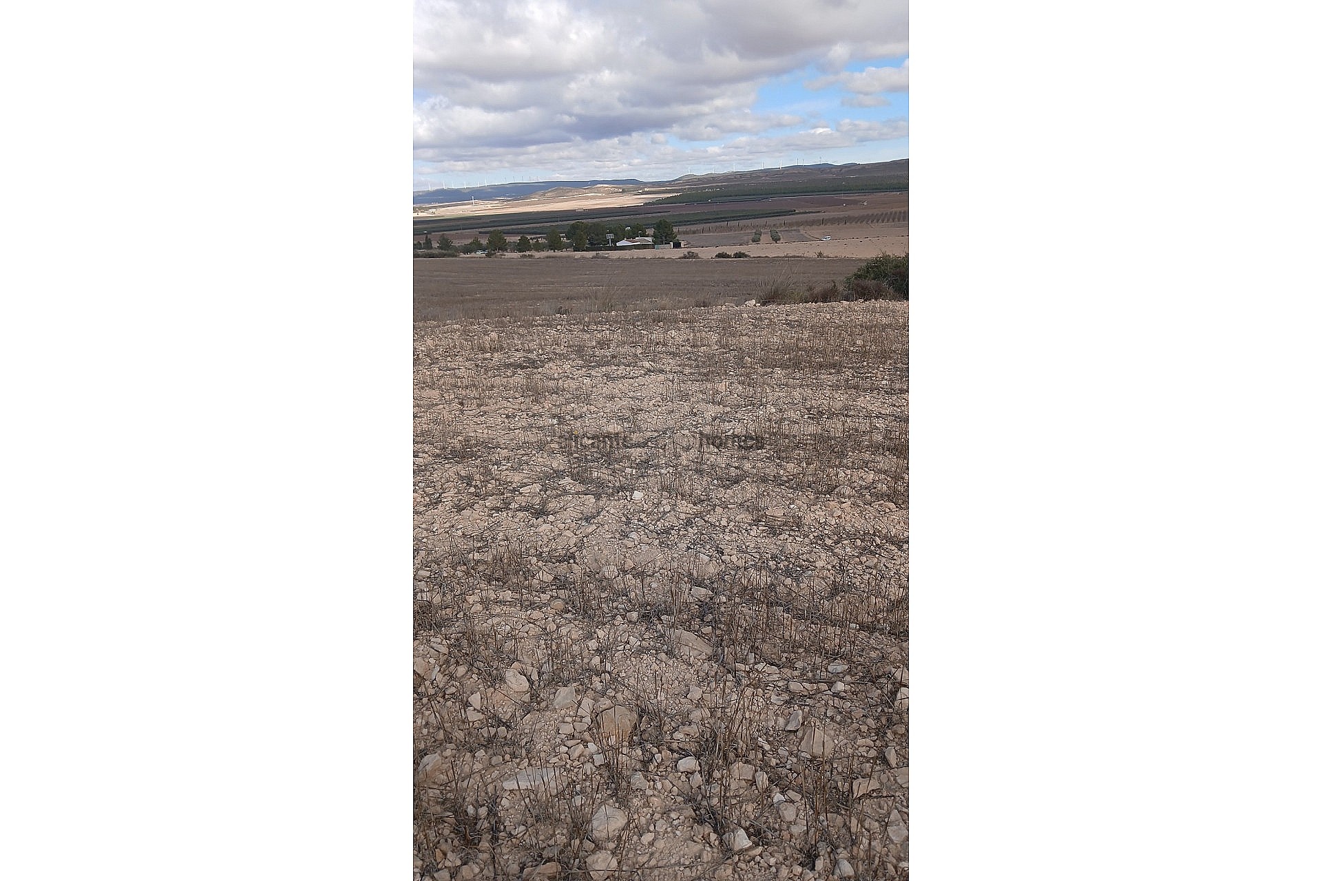 Resale - Land in Yecla -  - Murcia