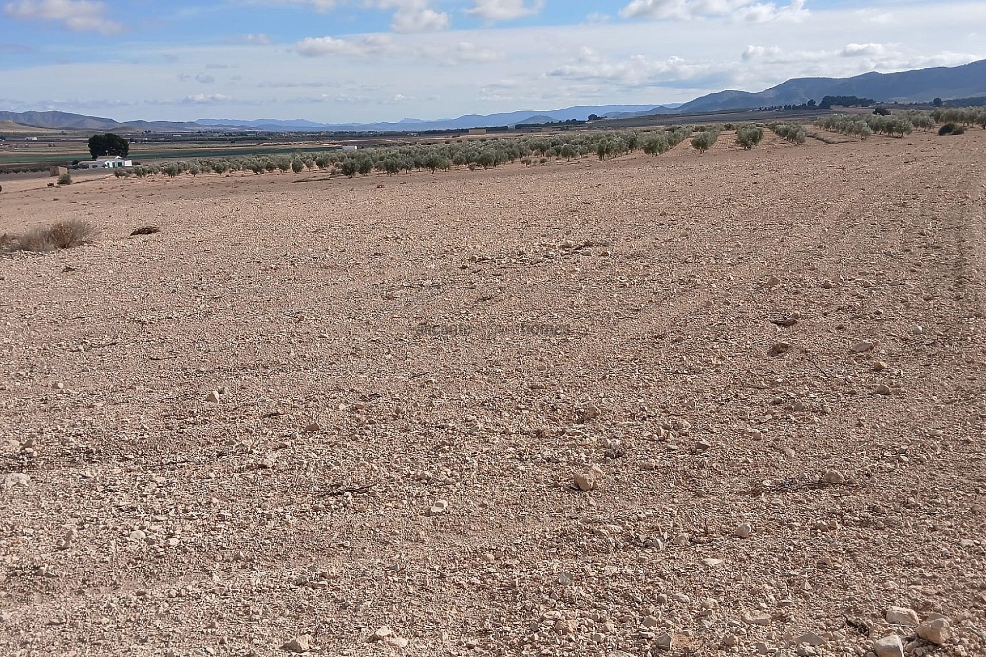 Resale - Land in Yecla -  - Murcia
