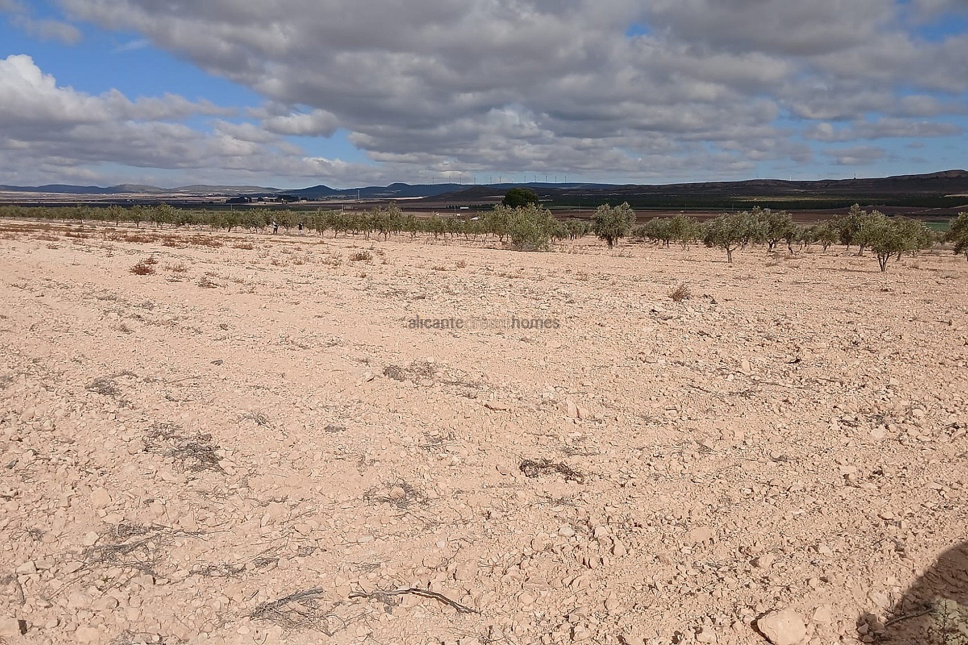 Resale - Land in Yecla -  - Murcia