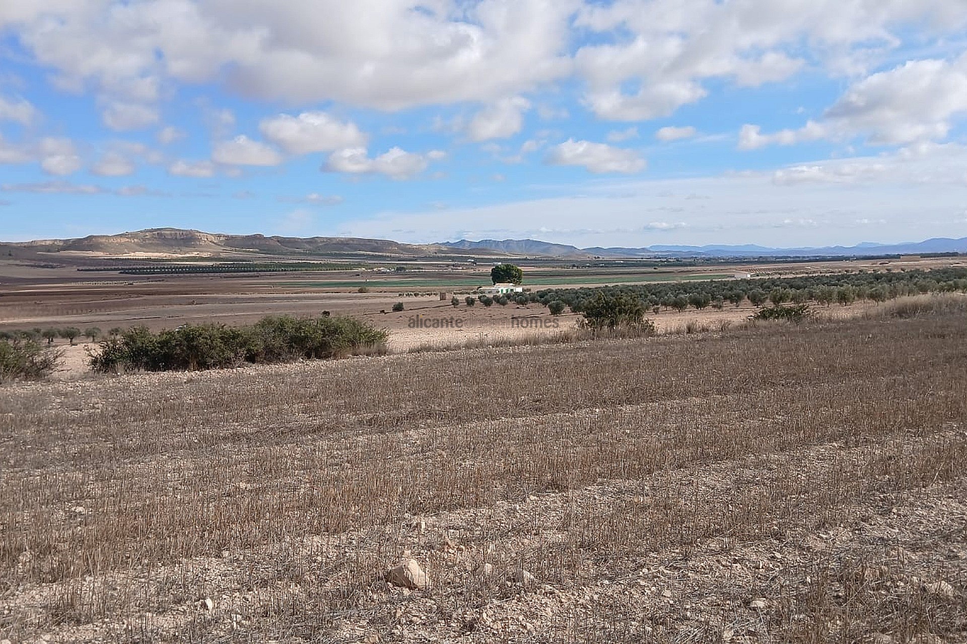 Resale - Land in Yecla -  - Murcia