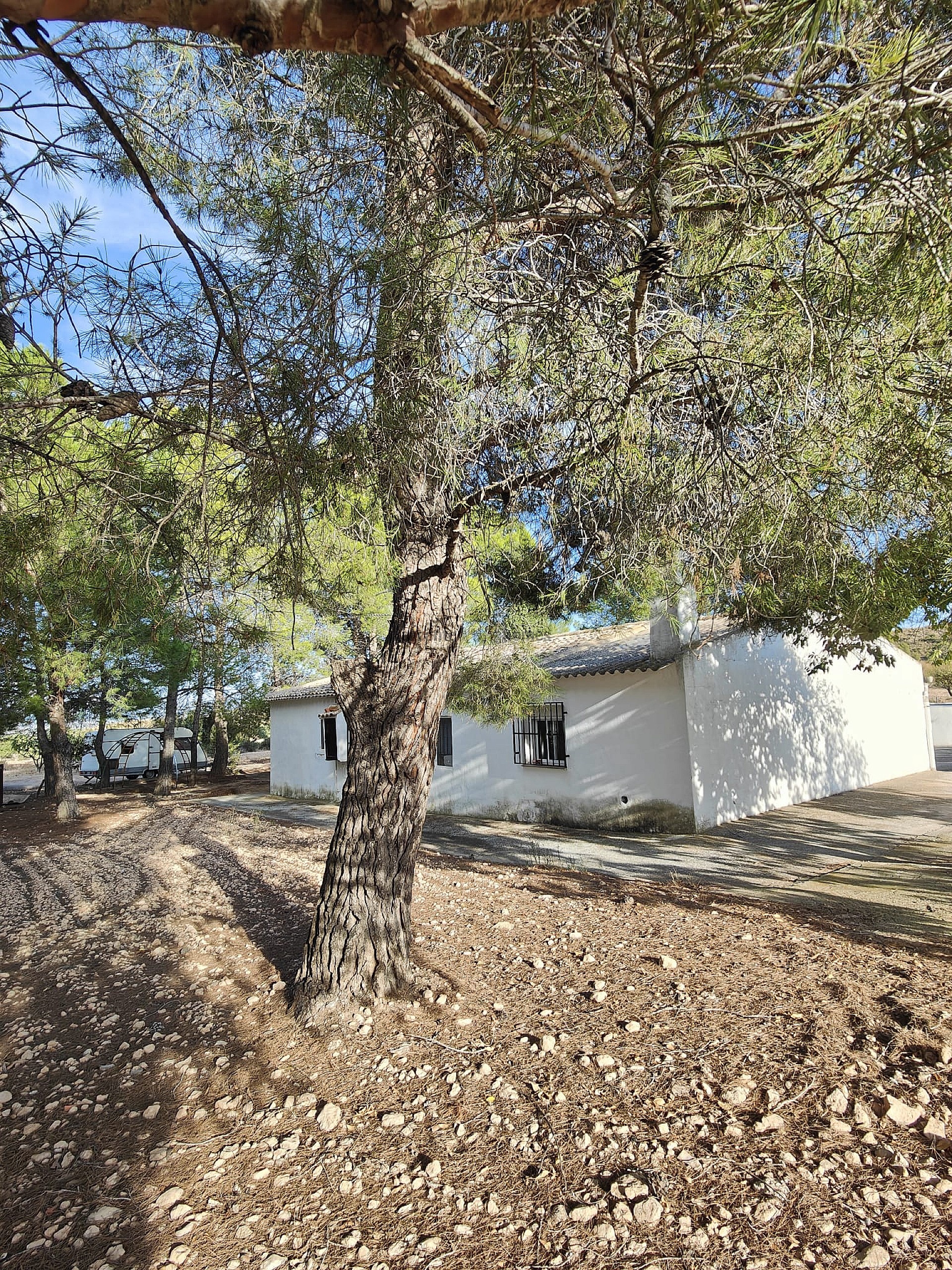 Resale - 3 Bedroom 1 Bathroom Country house in Yecla -  - Murcia