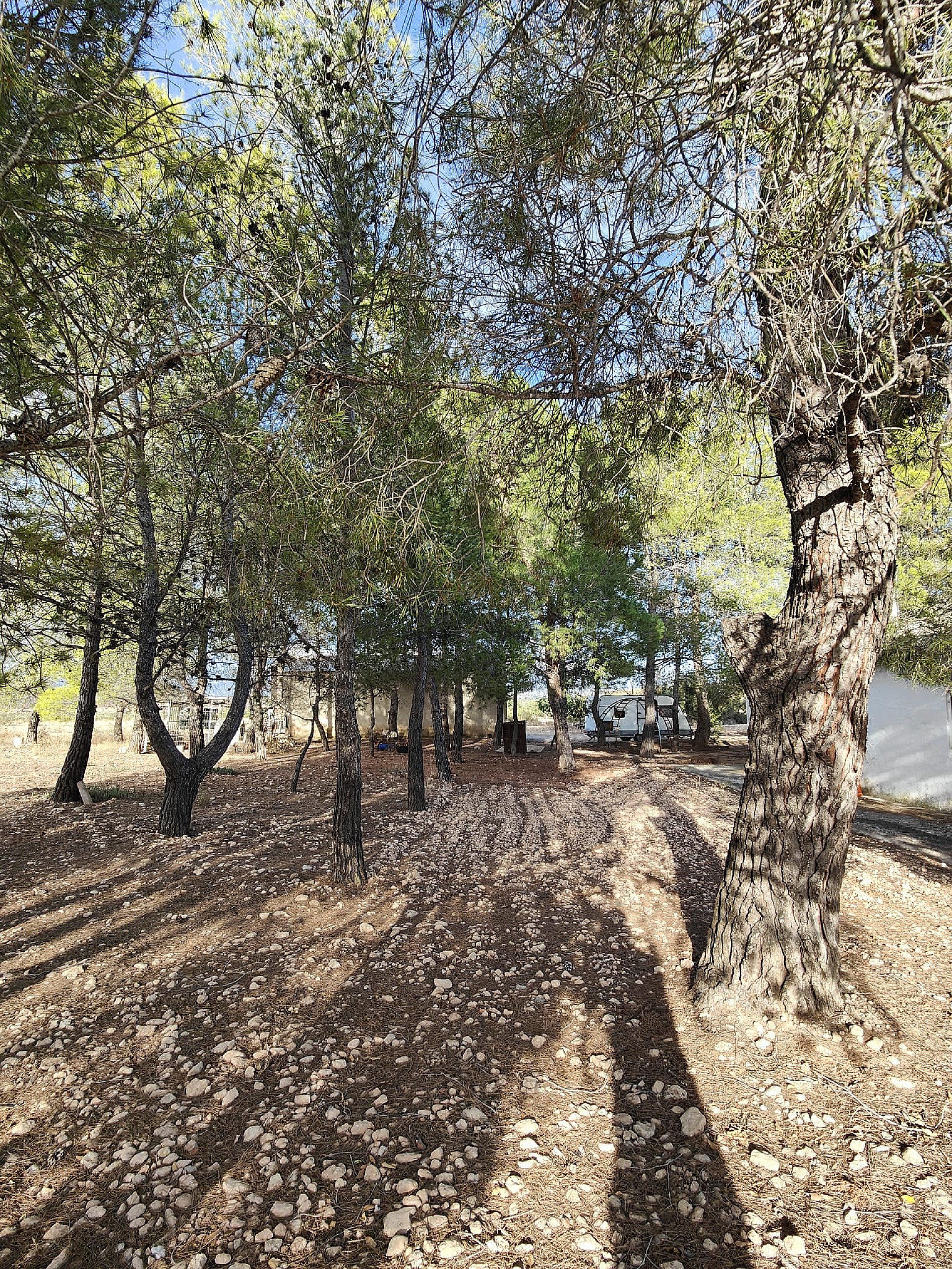 Resale - 3 Bedroom 1 Bathroom Country house in Yecla -  - Murcia