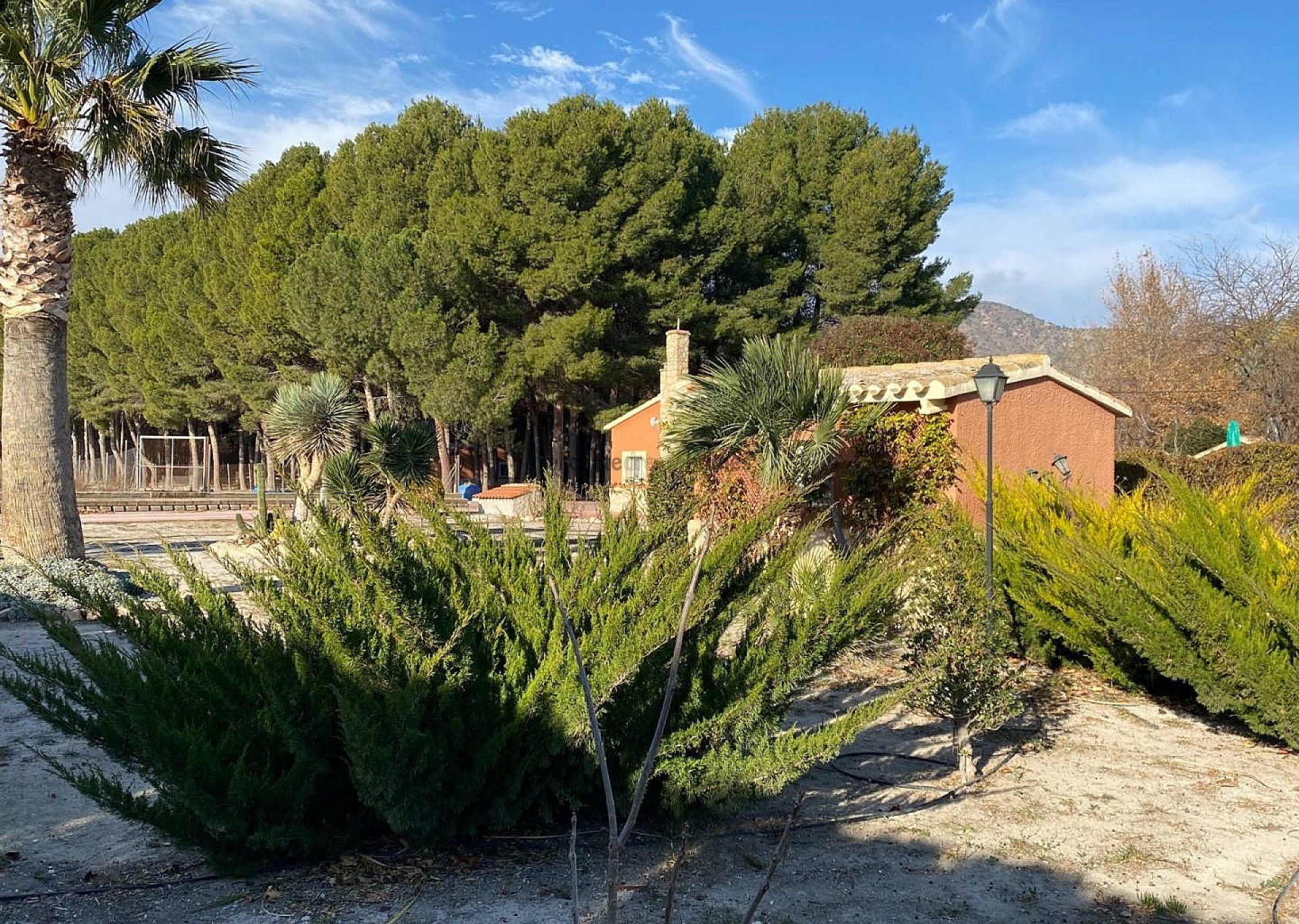 Sold - 4 Bedroom 3 Bathroom Villa in Salinas -  - Alicante
