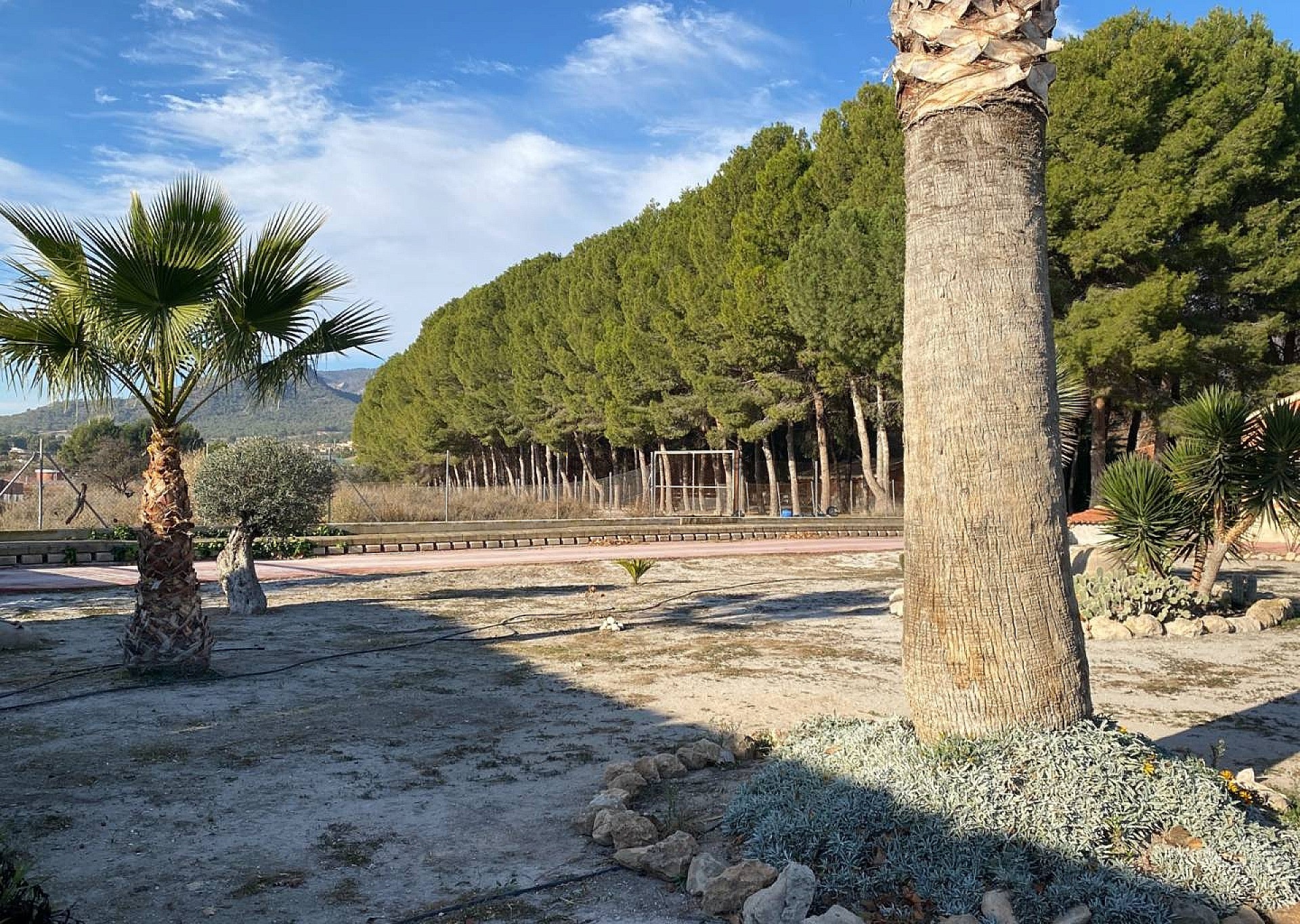 Sold - 4 Bedroom 3 Bathroom Villa in Salinas -  - Alicante