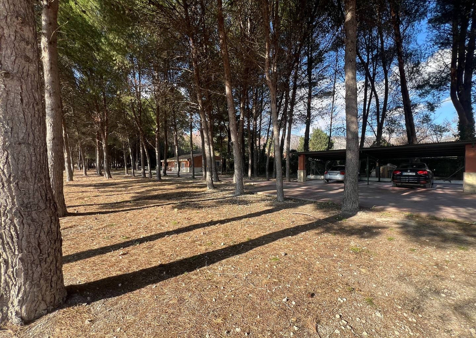 Sold - 4 Bedroom 3 Bathroom Villa in Salinas -  - Alicante