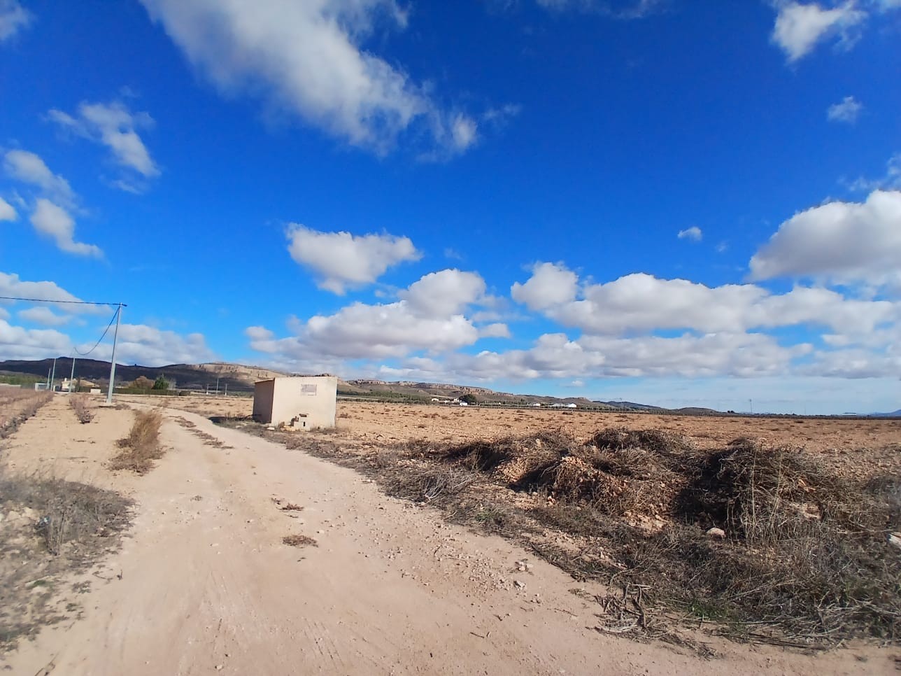 Resale - Land in Yecla -  - Murcia