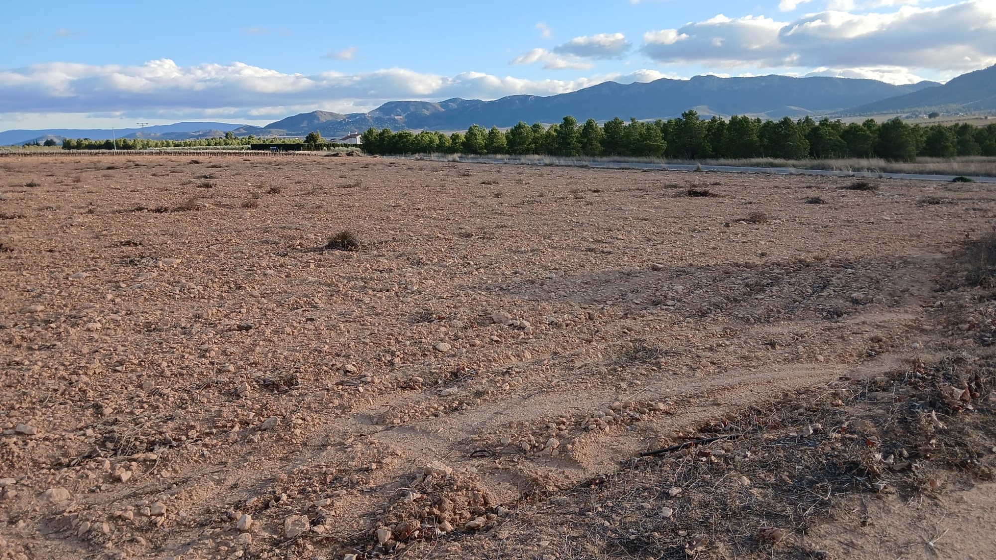 Resale - Land in Yecla -  - Murcia