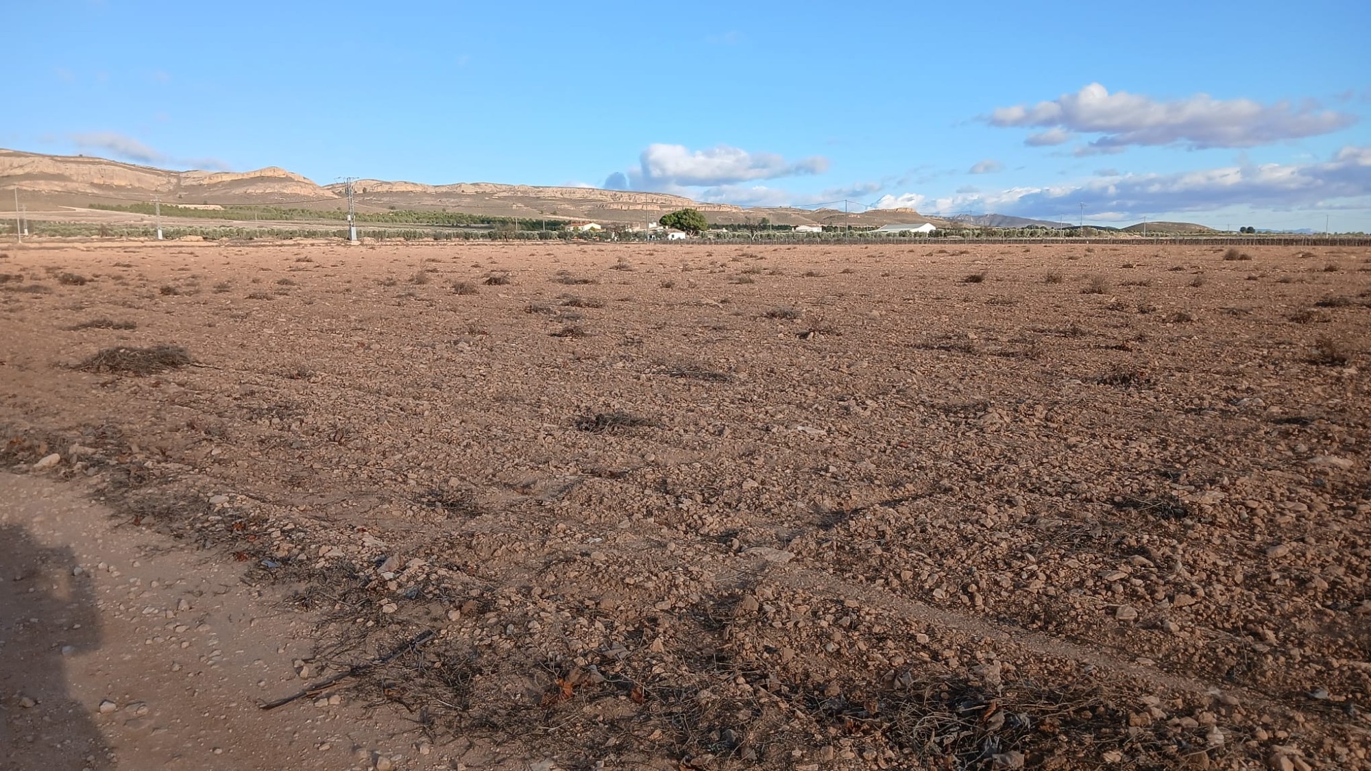 Resale - Land in Yecla -  - Murcia
