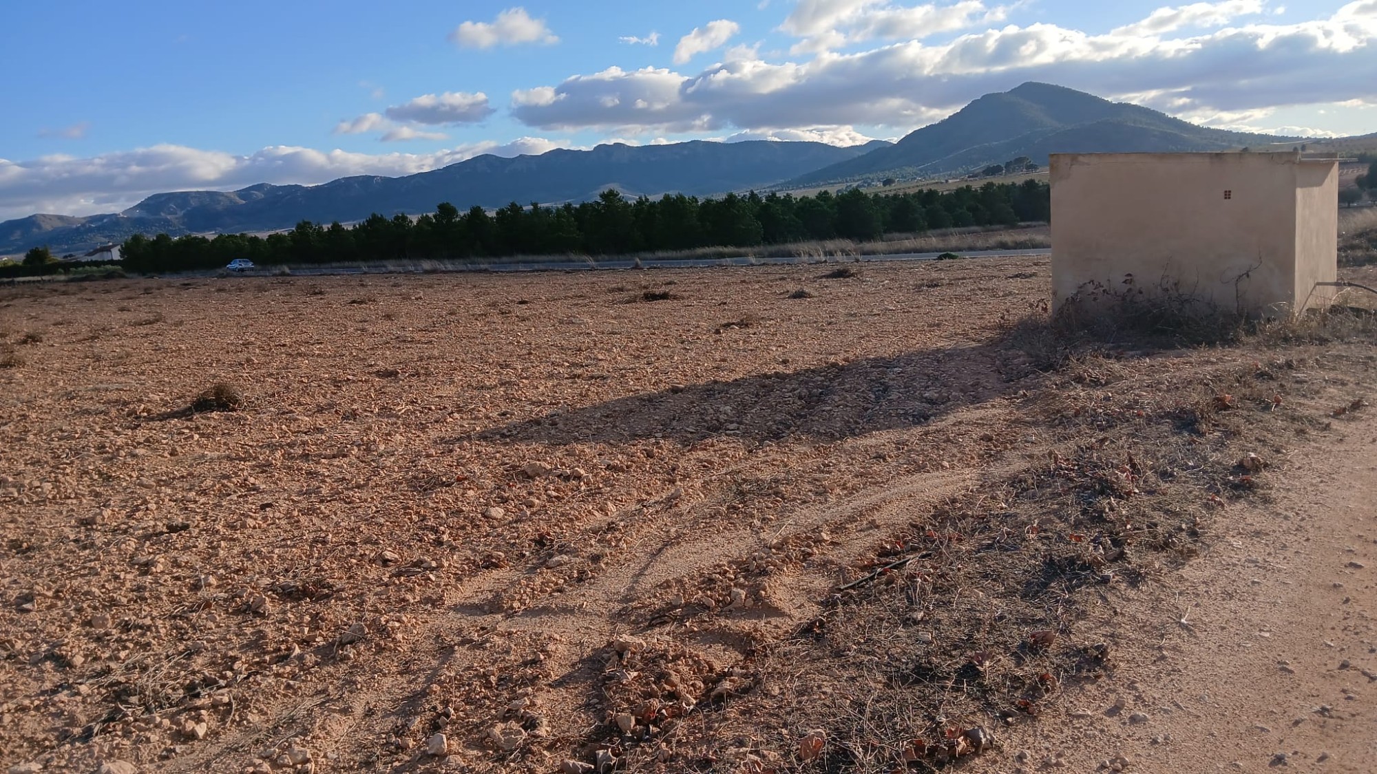 Resale - Land in Yecla -  - Murcia
