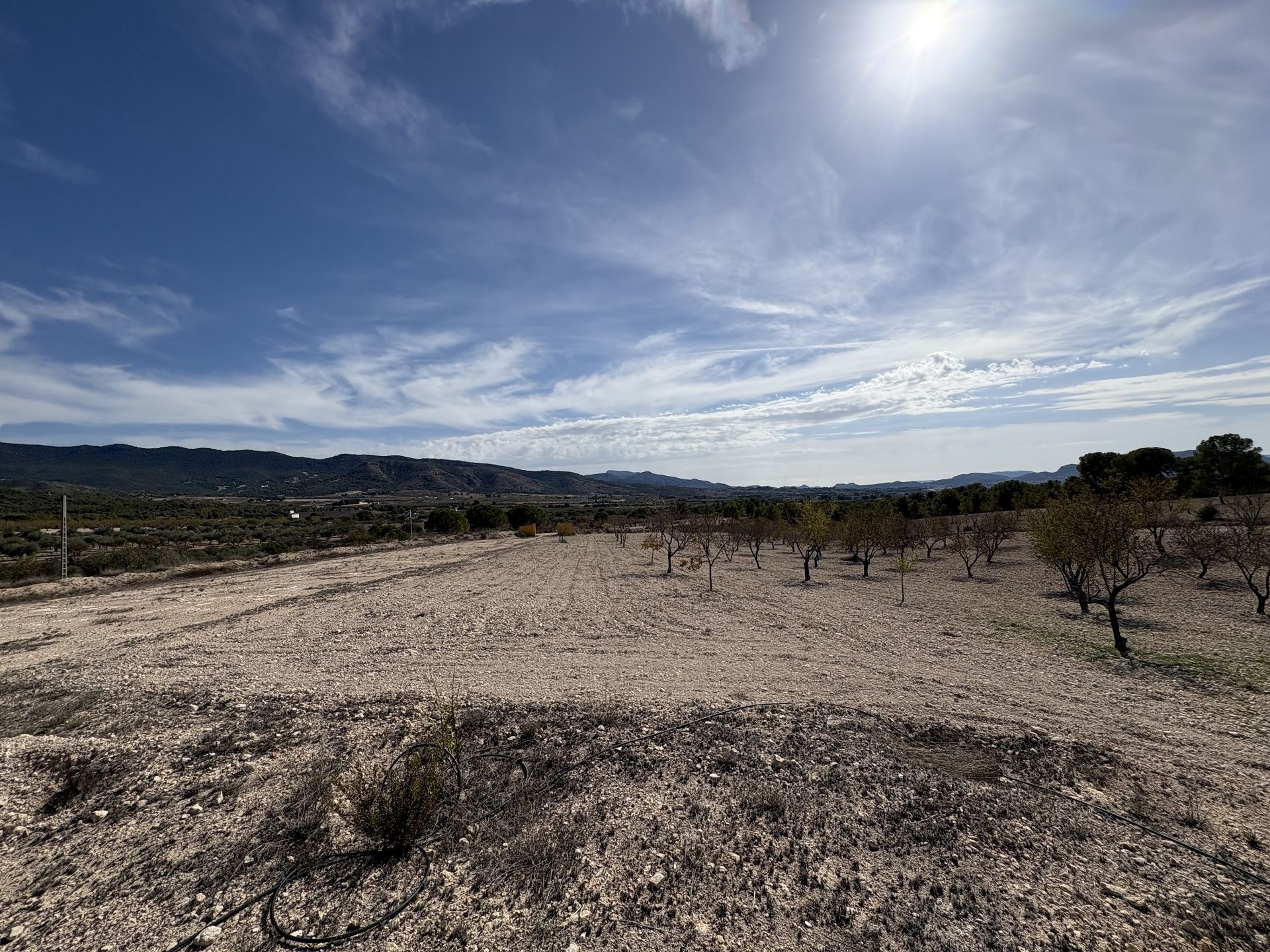 Resale - 2 Bedroom 1 Bathroom Country house in Sax -  - Alicante