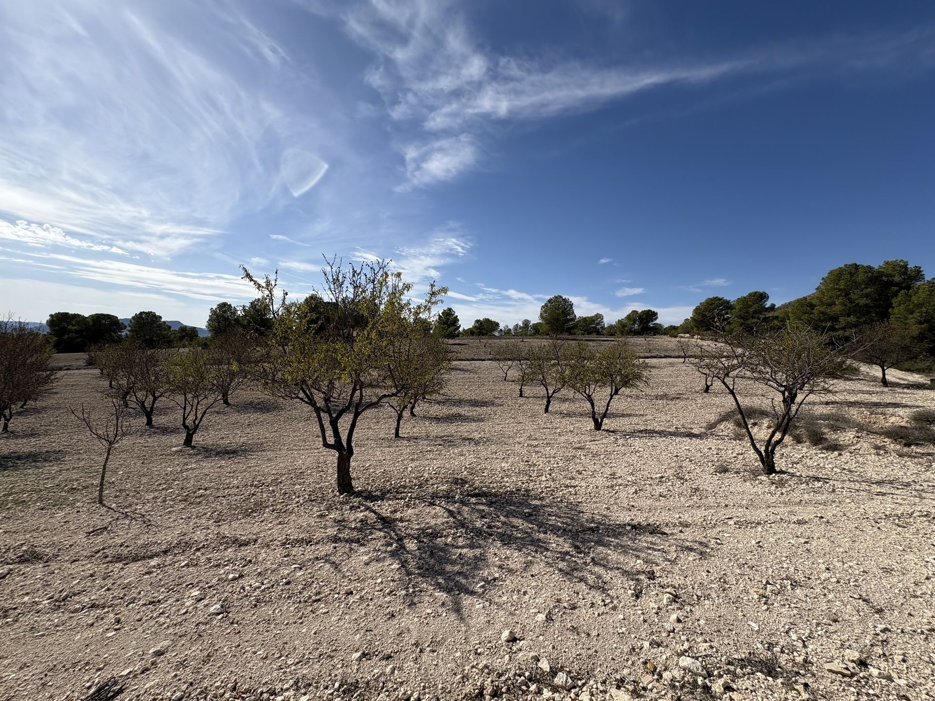 Resale - 2 Bedroom 1 Bathroom Country house in Sax -  - Alicante