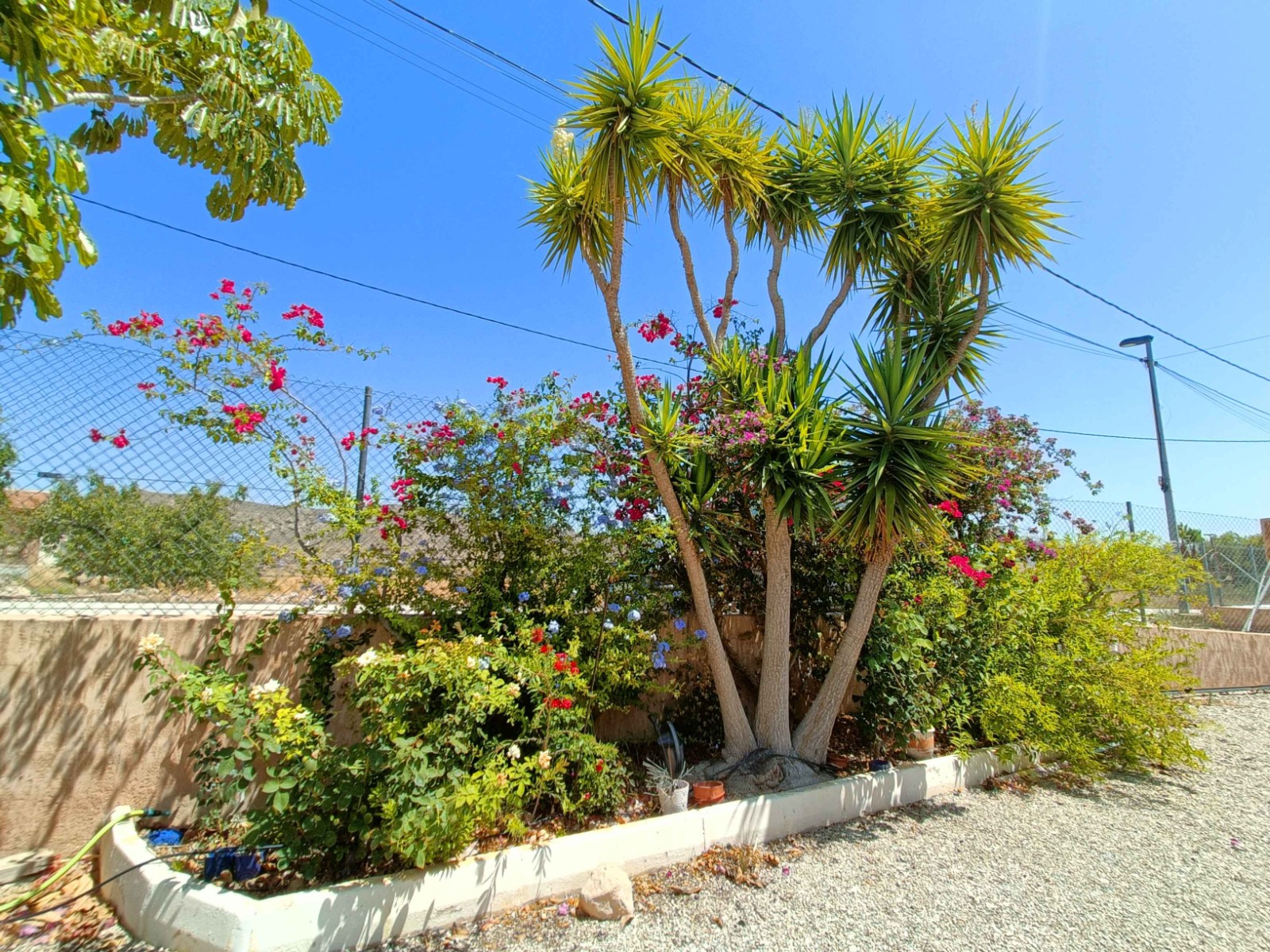 Resale - 5 Bedroom 3 Bathroom Villa in Abanilla -  - Murcia