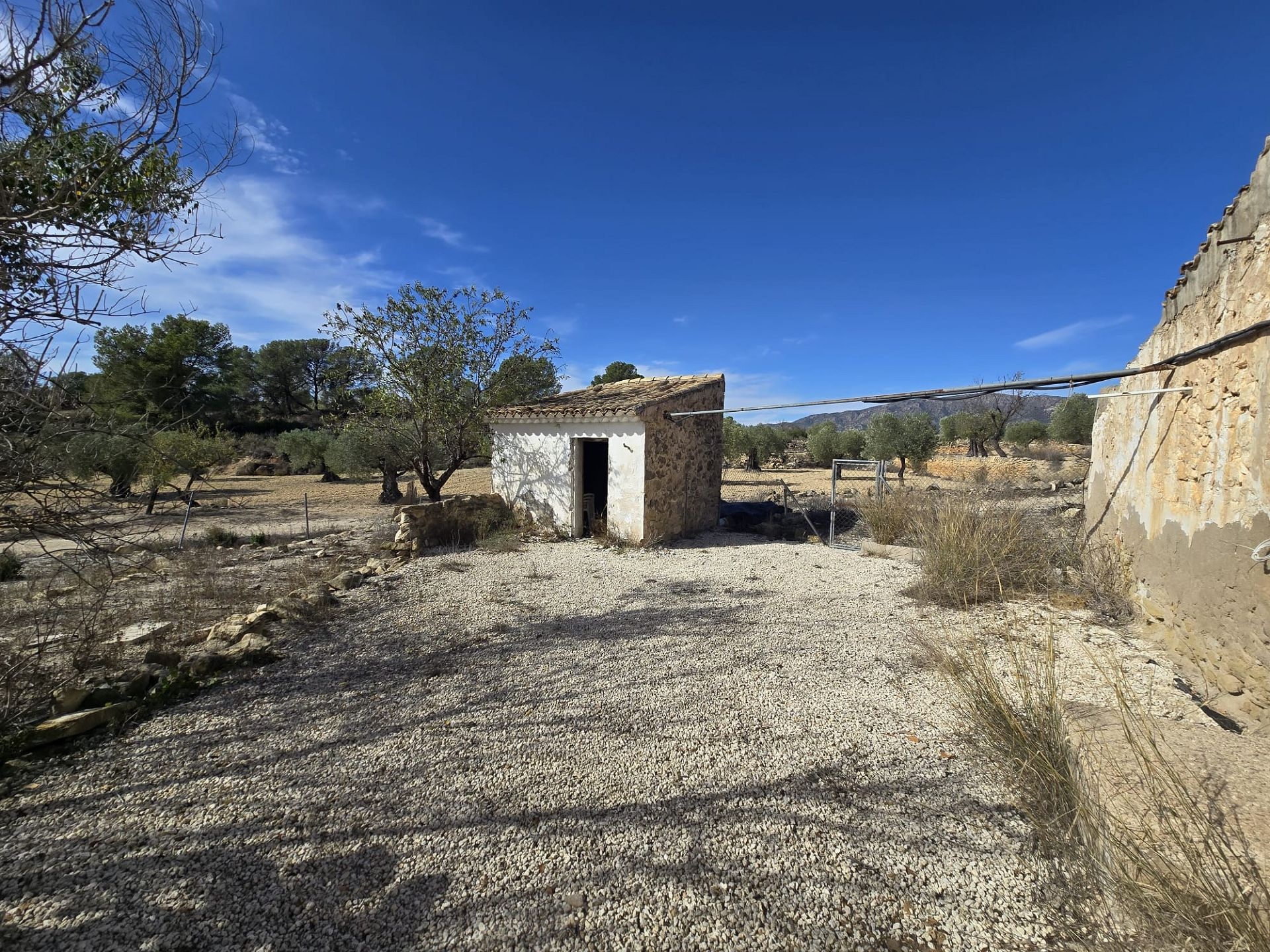 Resale - 7 Bedroom 3 Bathroom Country house in Monóvar -  - Alicante