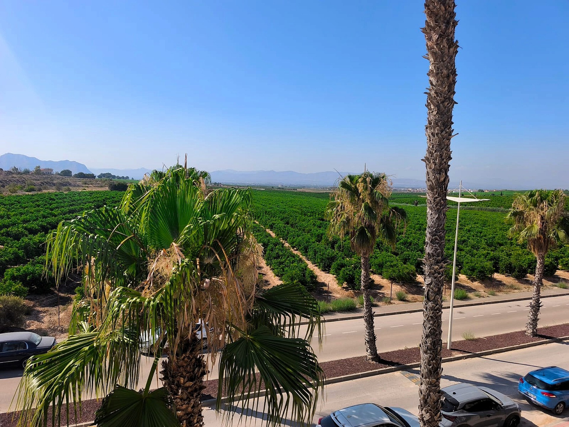 Resale - 3 Bedroom 2 Bathroom Apartment in Algorfa -  - Alicante