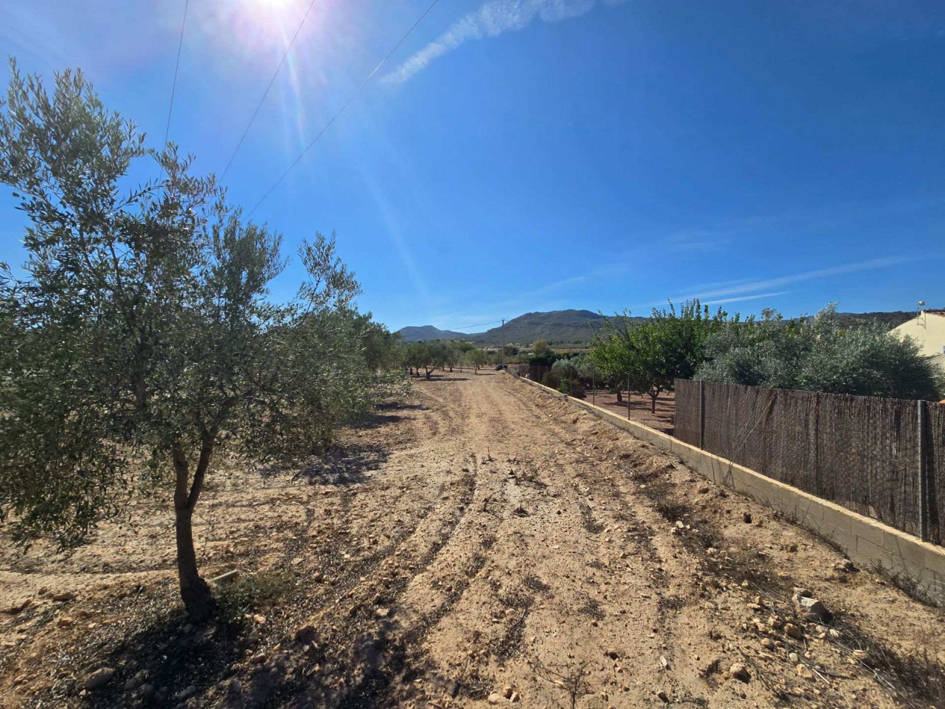 Resale - Land in Salinas -  - Alicante