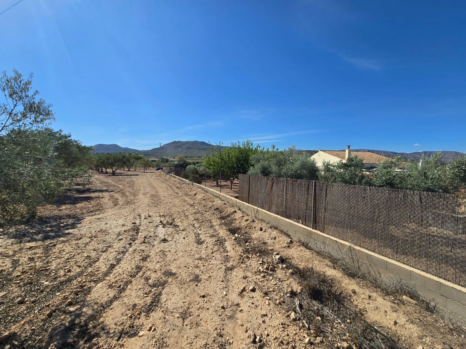 Resale - Land in Salinas -  - Alicante