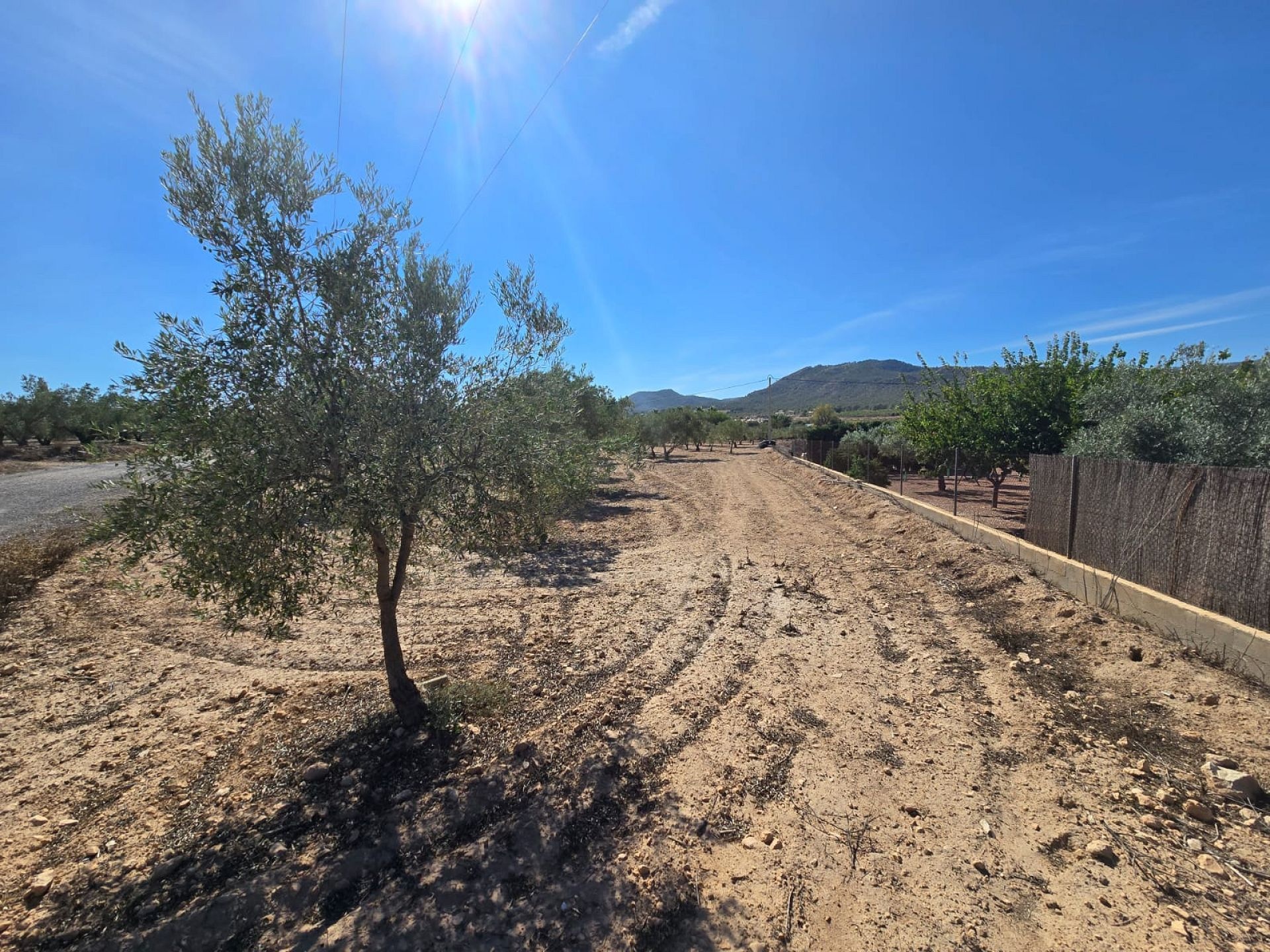 Resale - Land in Salinas -  - Alicante