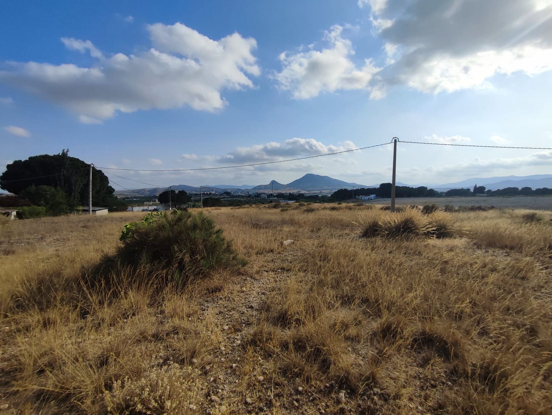 Resale - Land in Sax -  - Alicante