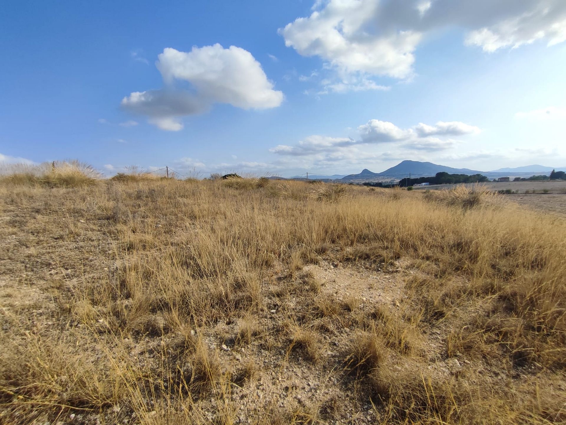 Resale - Land in Sax -  - Alicante