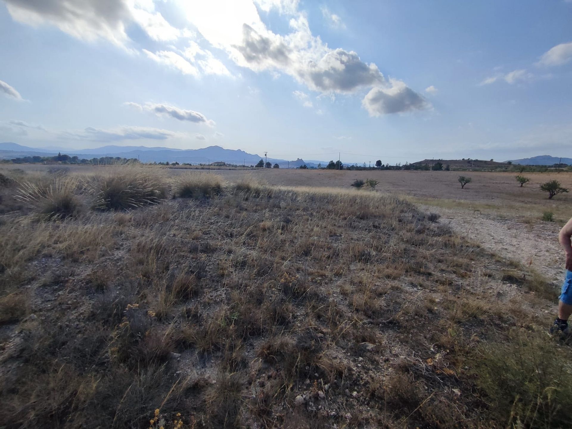 Resale - Land in Sax -  - Alicante