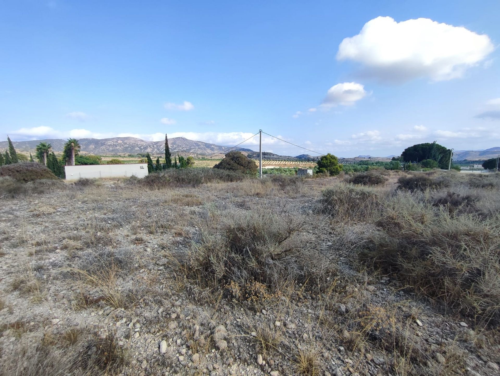 Resale - Land in Sax -  - Alicante
