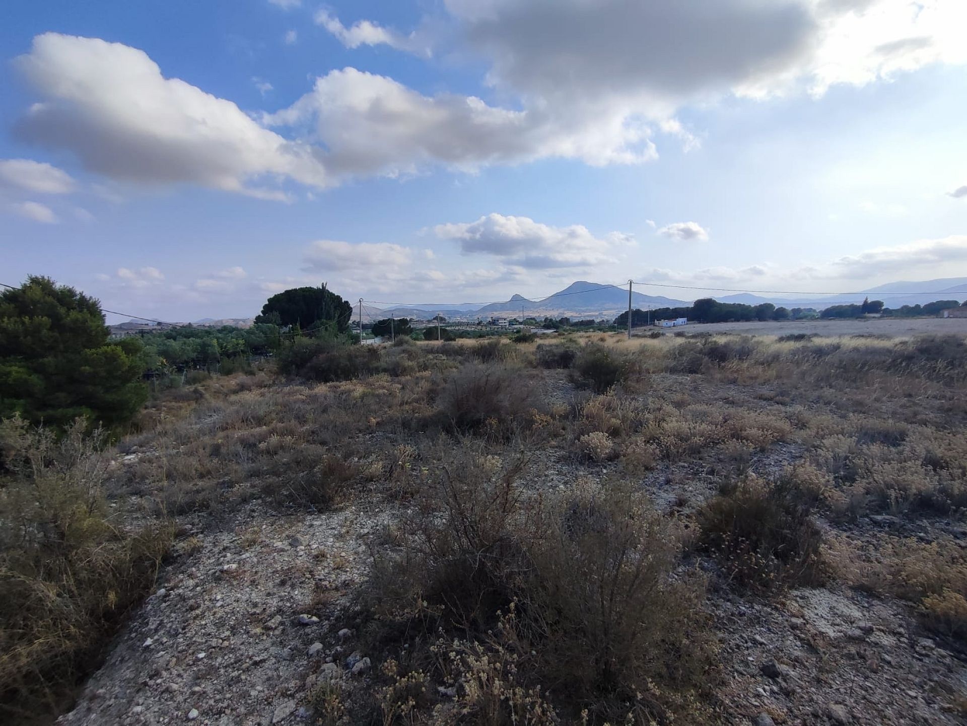 Resale - Land in Sax -  - Alicante