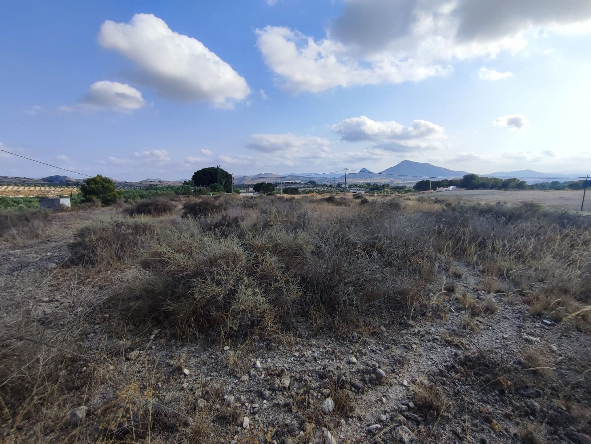 Resale - Land in Sax -  - Alicante