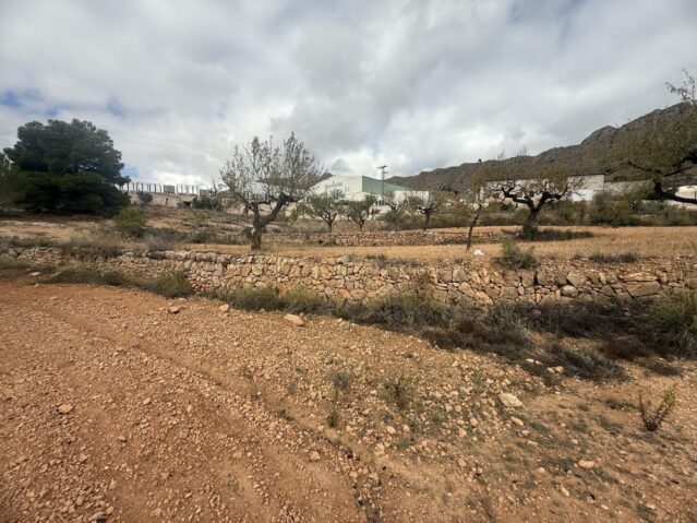 Resale - Land in La Romana - , La Romana, Alicante, Spain - Alicante
