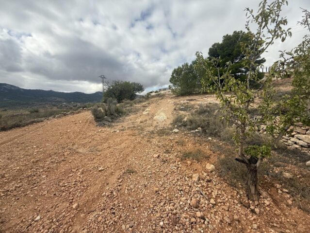 Resale - Land in La Romana - , La Romana, Alicante, Spain - Alicante