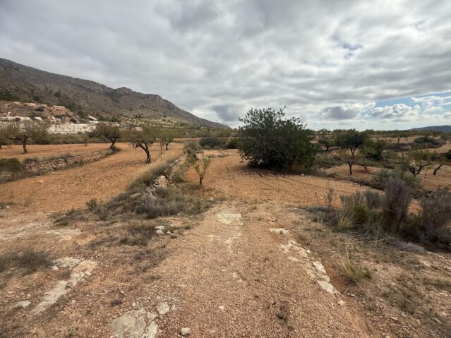 Resale - Land in La Romana - , La Romana, Alicante, Spain - Alicante