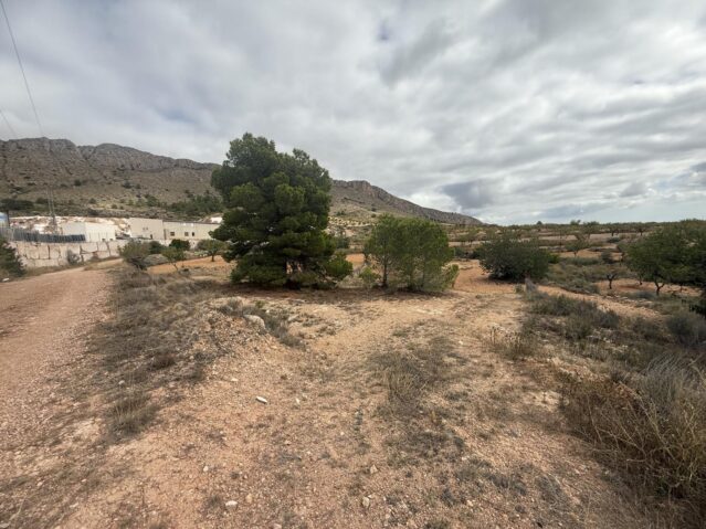 Resale - Land in La Romana - , La Romana, Alicante, Spain - Alicante