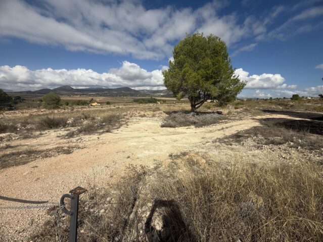 Resale - Land in Monóvar - , Monóvar, Alicante, Spain - Alicante