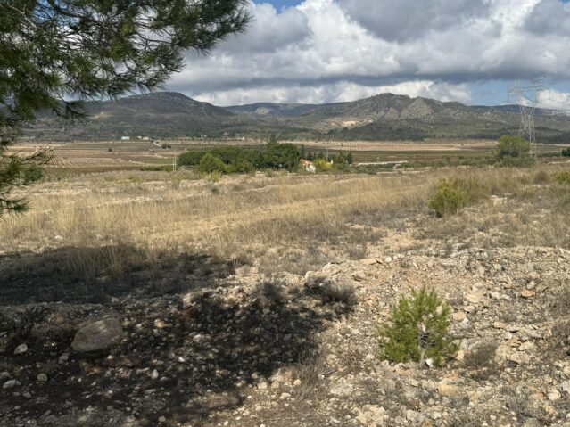 Resale - Land in Monóvar - , Monóvar, Alicante, Spain - Alicante