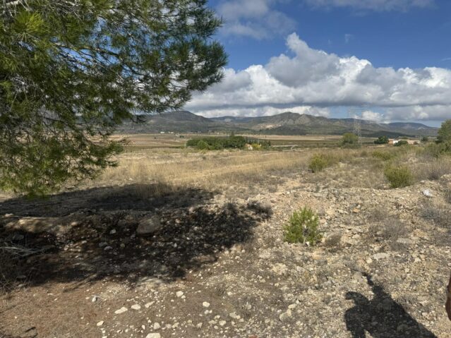 Resale - Land in Monóvar - , Monóvar, Alicante, Spain - Alicante