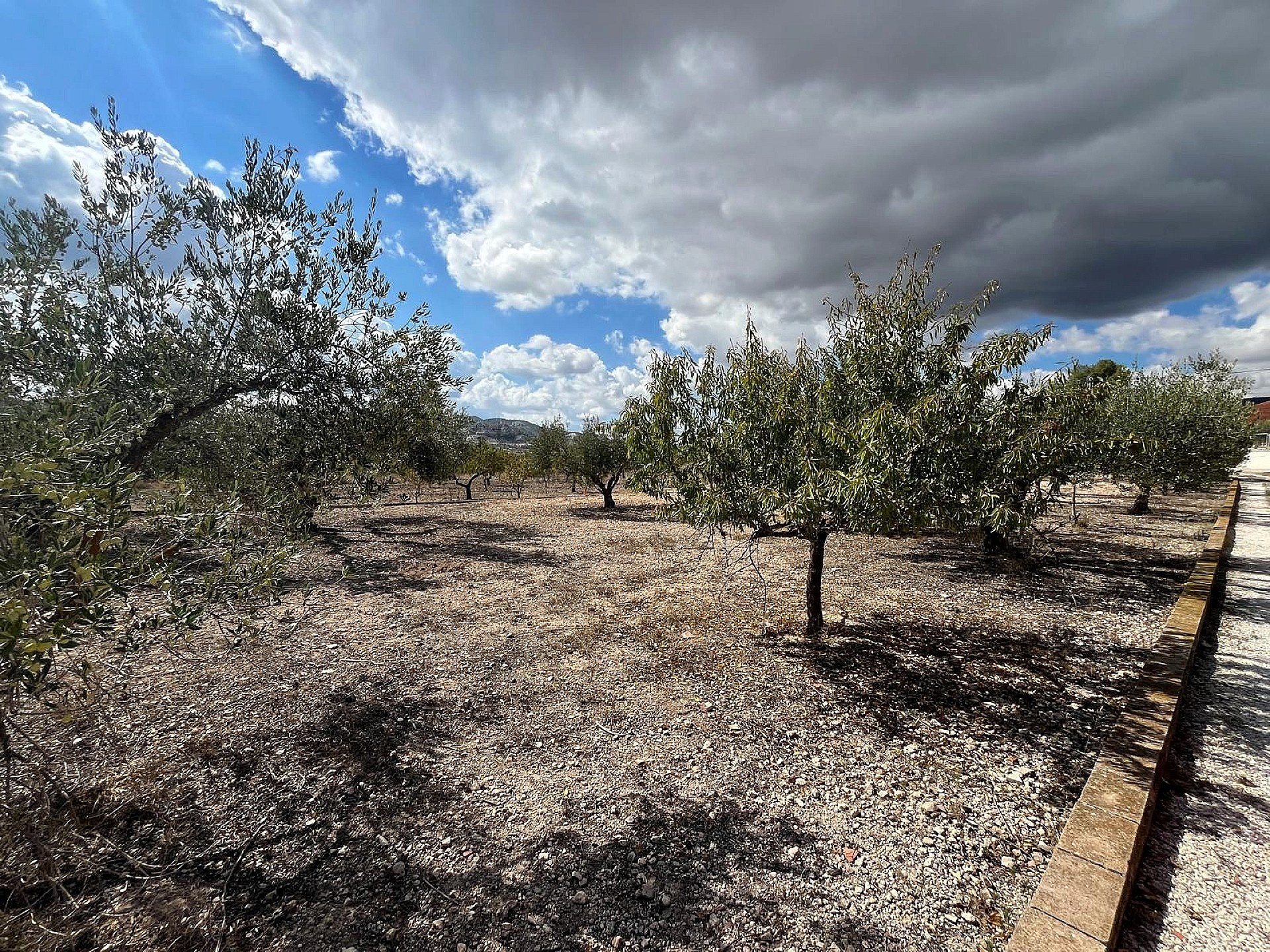Sold - 3 Bedroom 1 Bathroom Country house in Castalla -  - Alicante